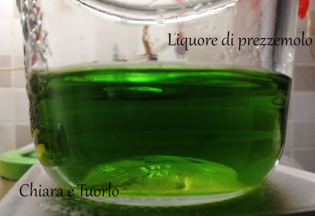 Alcool diventato verde dopo infusione con le foglie di prezzemolo