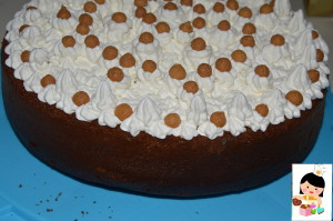 chiffon al cioccolato_2