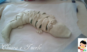 10_coccodrillo