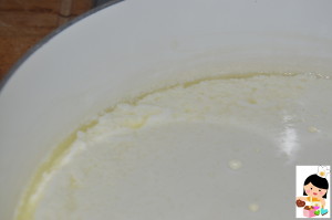 formaggi_kefir_4