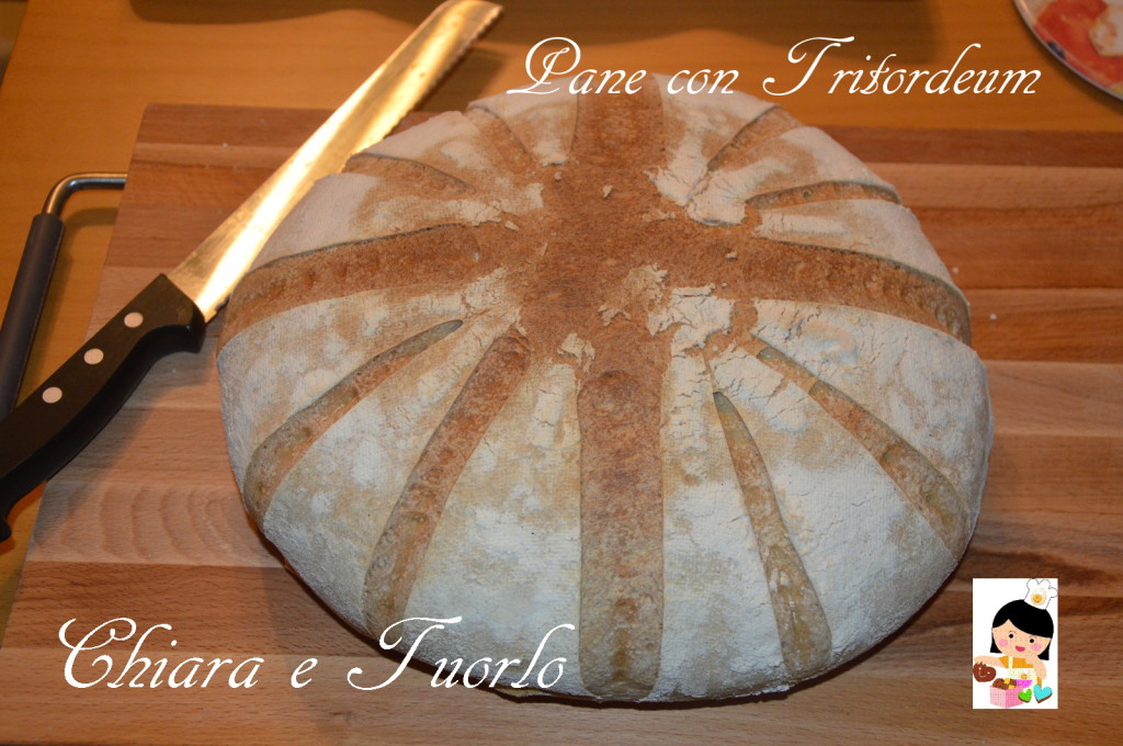 Pane con Tritordeum_1