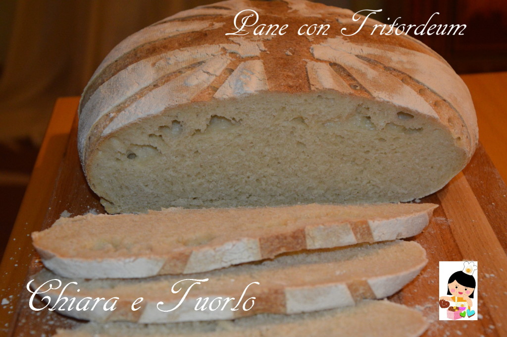 Pane con Tritordeum_4