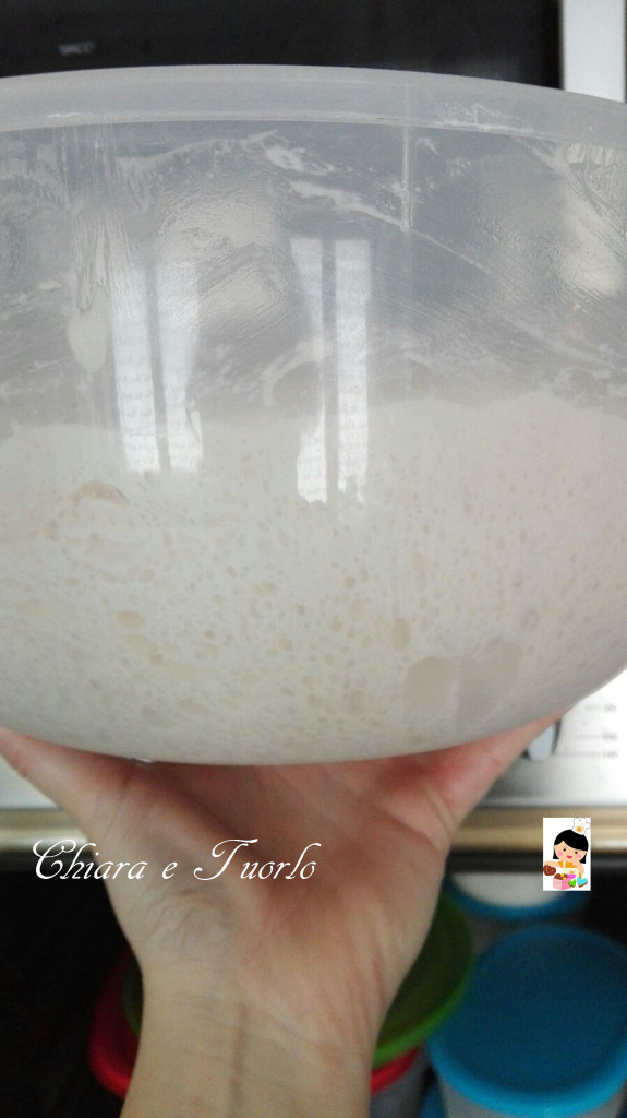teglie lunghissima lievitazione_1