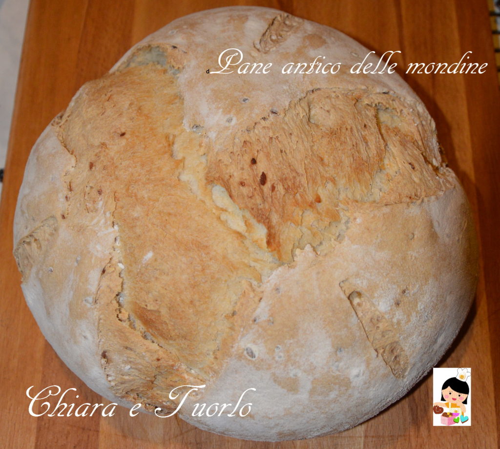 pane-antico-delle-mondine_1