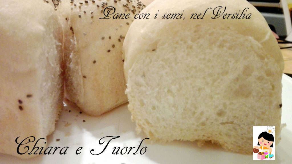 Pane con i semi, nel Versilia_4