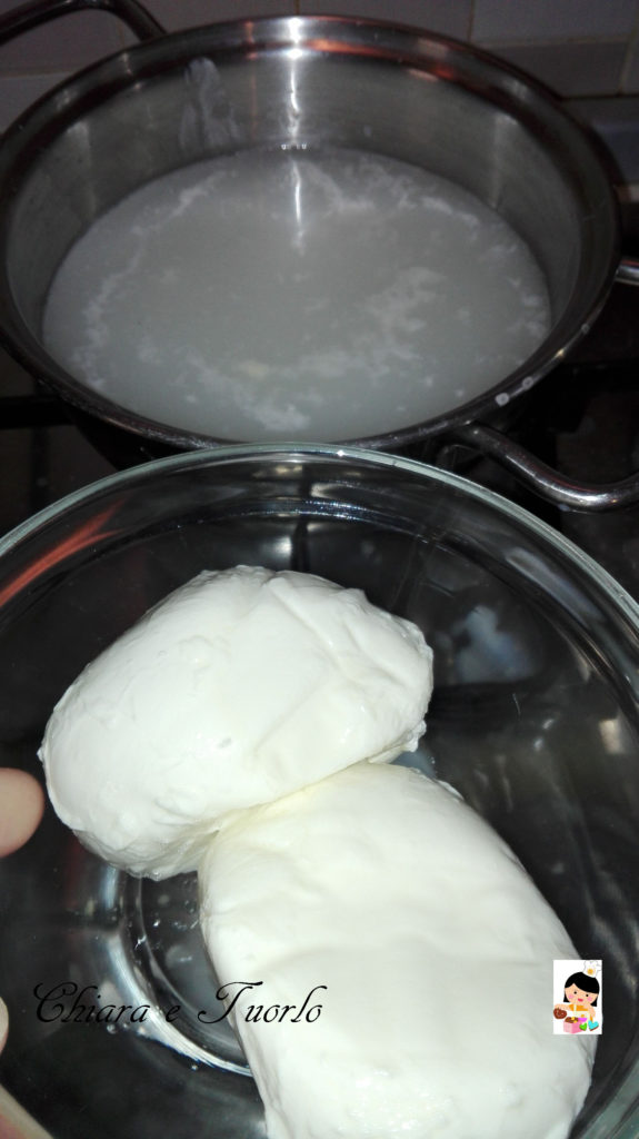 fogli_di_mozzarella_1