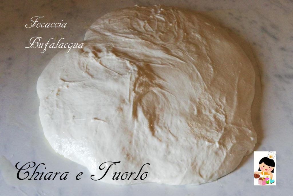 Impasto della focaccia Bufalacqua perfettamente incordato, prima delle pieghe