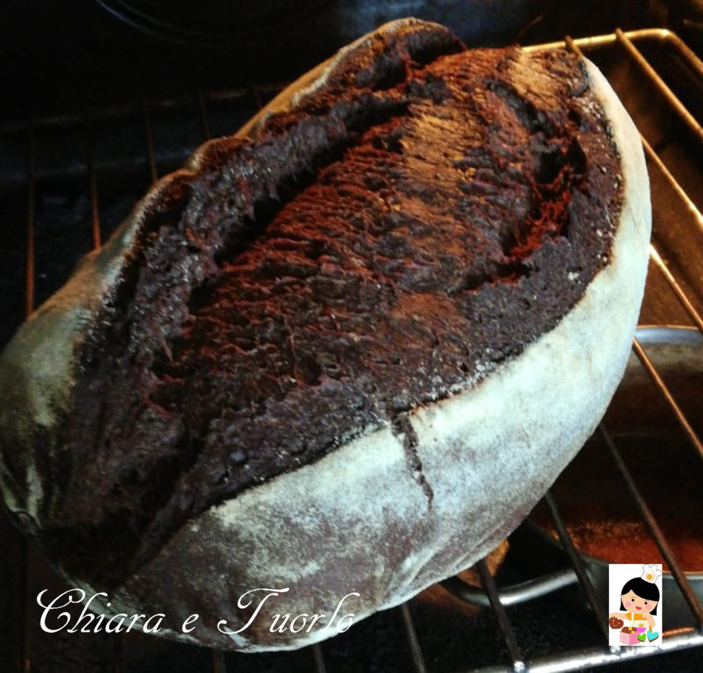 Filone di pane al cacao in forno