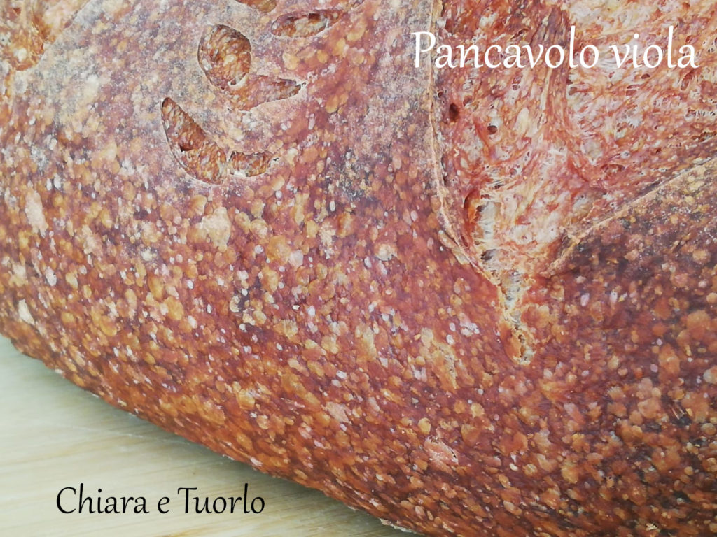 Particolare del colore della crosta del pancavolo viola