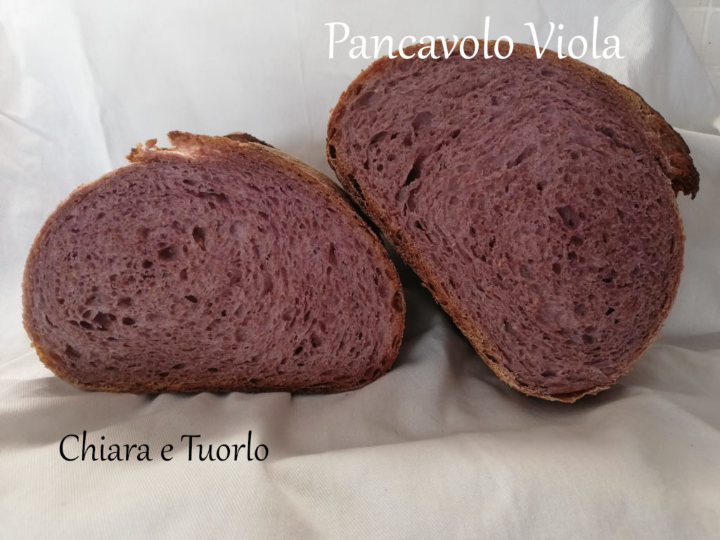 Pancavolo viola tagliato a metà, particolare delle sezioni