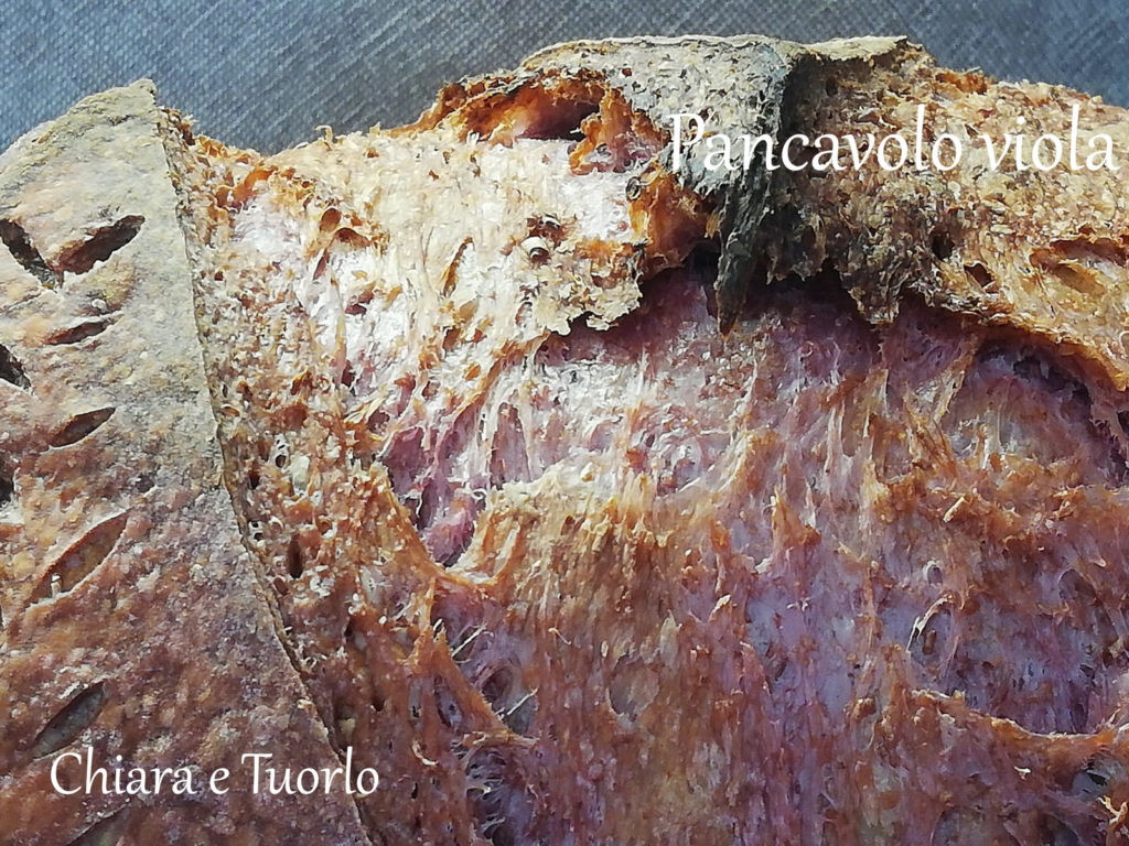 Particolare della lievitazione del Pancavolo viola 