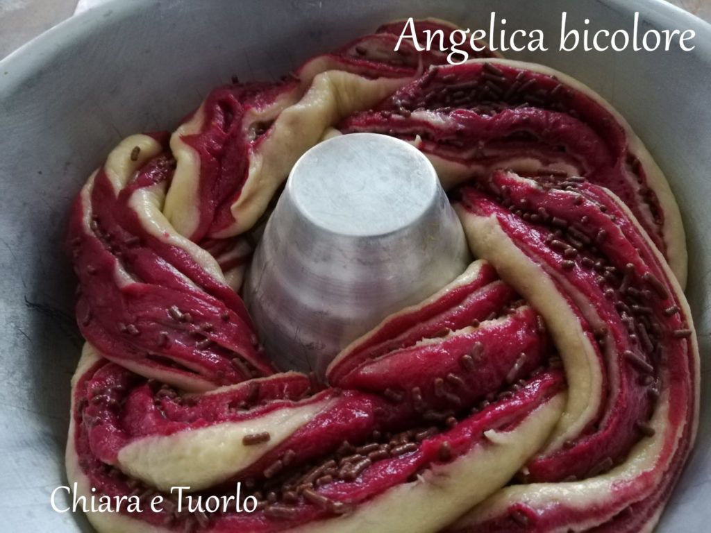 Angelica dolce bicolore cruda nella tortiera