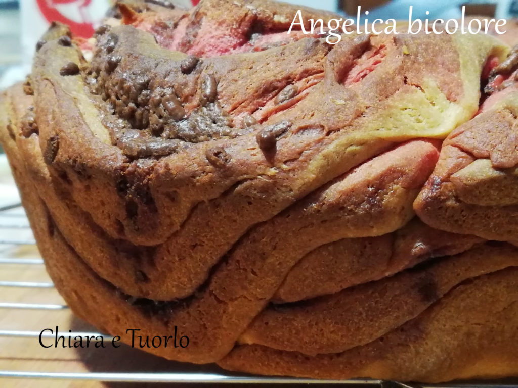 Torta Angelica dolce bicolore appena cotta, ben visibile le righe dell'impasto
