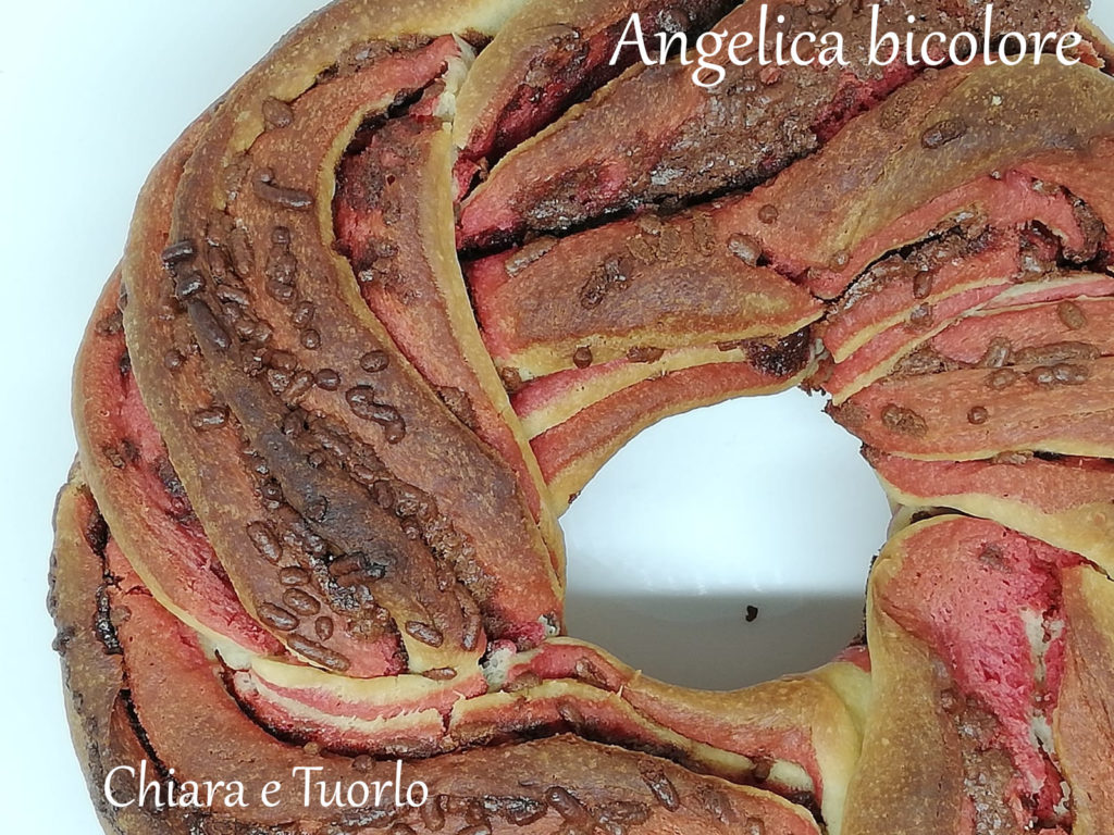 Torta Angelica dolce bicolore cotta, particolare inquadrato dall'alto
