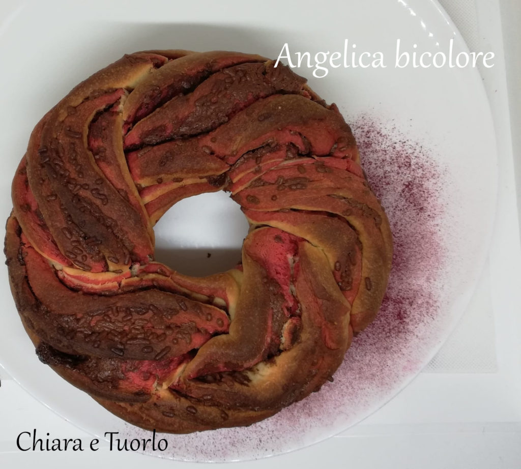 Torta Angelica dolce bicolore cotta, inquadrata dall'alto