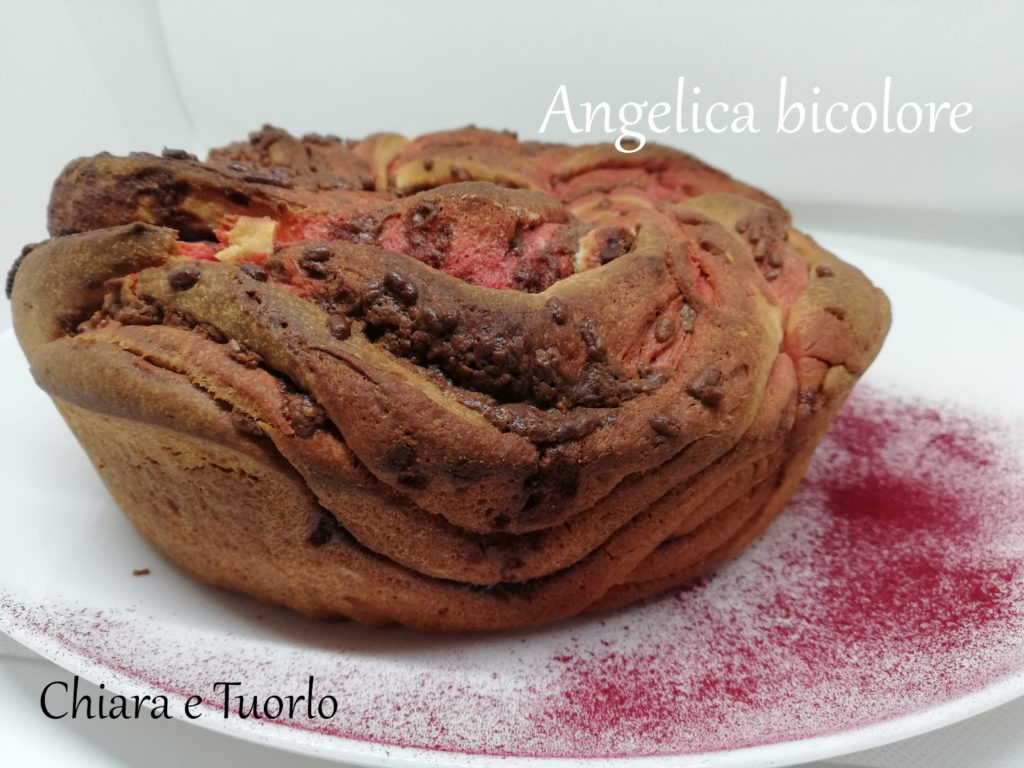 Torta Angelica dolce bicolore cotta, inquadrata dal fianco