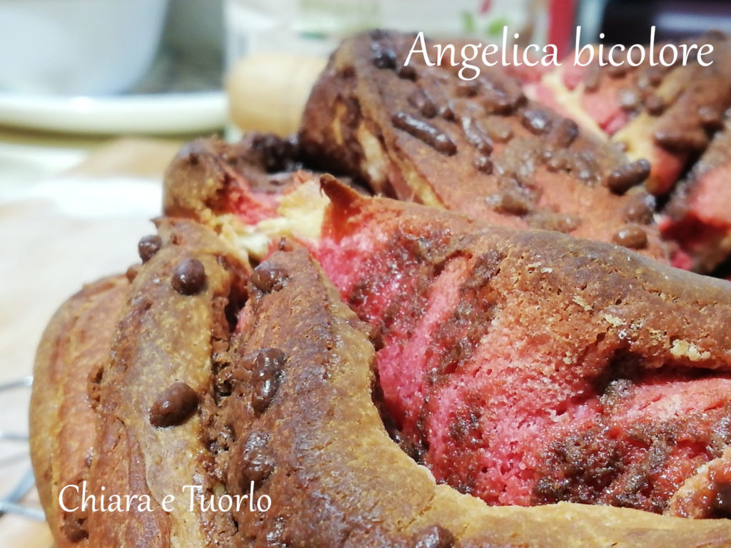 Torta Angelica dolce bicolore cotta, particolare della crosta superiore