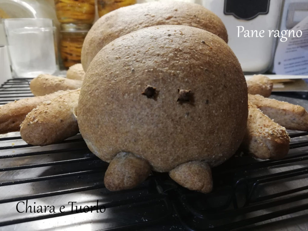 Pane ragno inquadrato dal muso