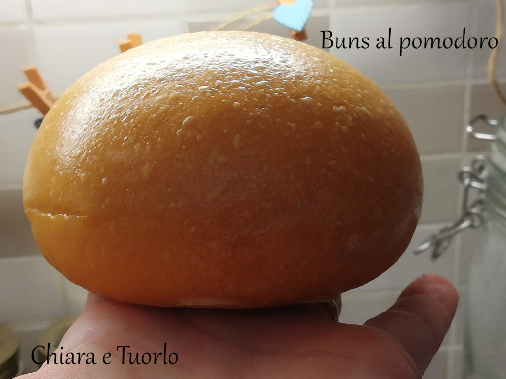 Bun, panino da hamburger, al pomodoro cotto, posato su una mano e inquadrato da lato