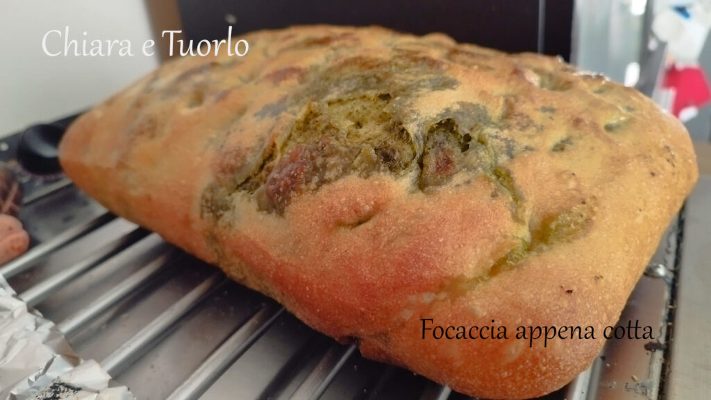 Focaccia cotta